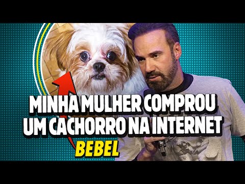 MINHA MULHER COMPROU UM SHIH TZU NA INTERNET | BEBEL OLX - STAND UP DIOGO PORTUGAL