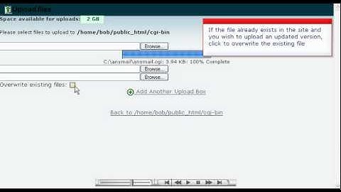 Cpanel_x3_Using File Manager in cPanel