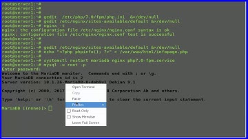 How To Install Sonerezh Music Streaming Server with Nginx web server on Debian 9.1 stretch