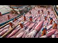 Pescadores Capturam Bilhões De Lulas Todos Os Dias Dessa Maneira - Documentário Sobre Pesca