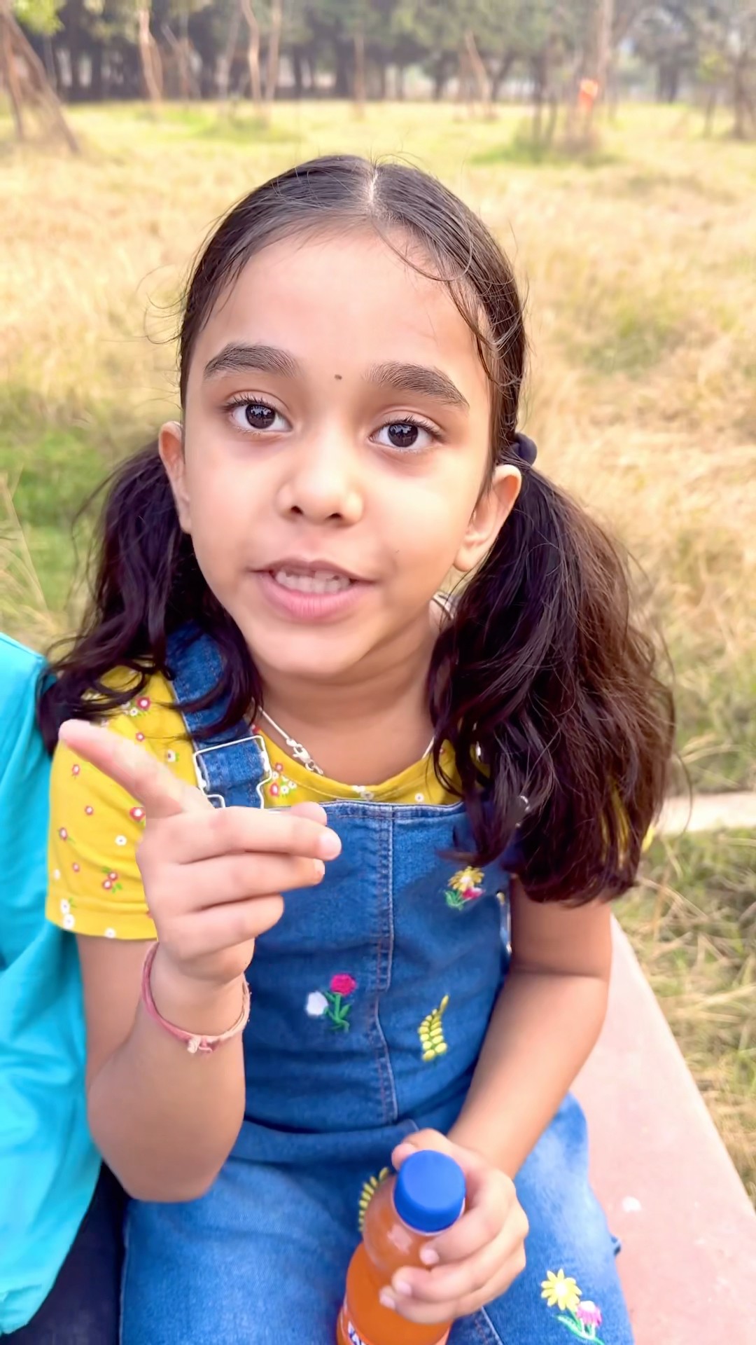 amaira n fasa diya?? #shorts #thegeetagurjar