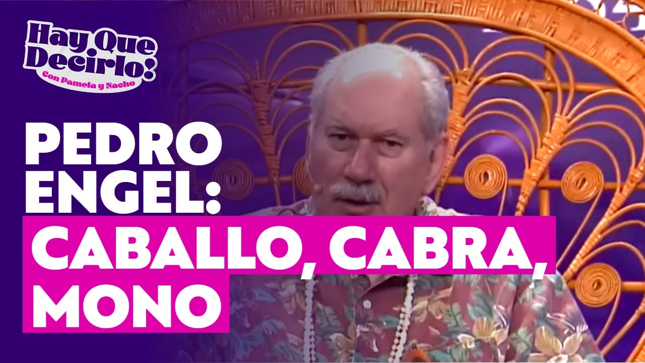 Horóscopo Chino: así será el 2026 para la Caballo, Cabra, Mono según Pedro Engel | Hay Que Decirlo