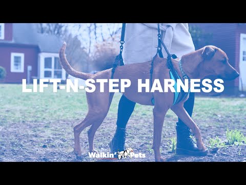 Walkin' Lift-n-Step Harness - Easily Assist Pets