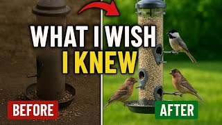 What I Wish I Knew Before I Started Bird Feeding