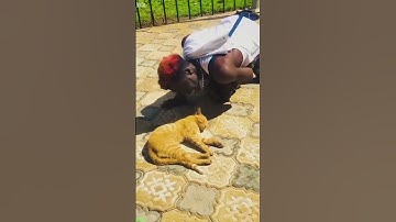 Funny Cats 2024 😼 Cat videos Compilation 😼 #babycats #9242