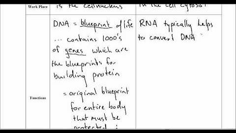 U3 L1 Video Part 3 of 3 (opt) - A Quick Review of Nucleic Acids