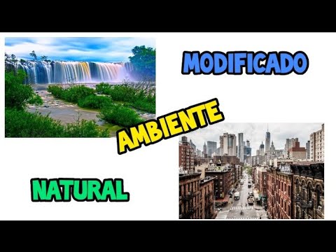 Ambiente natural e ambiente modificado para Educação Infantil. - YouTube