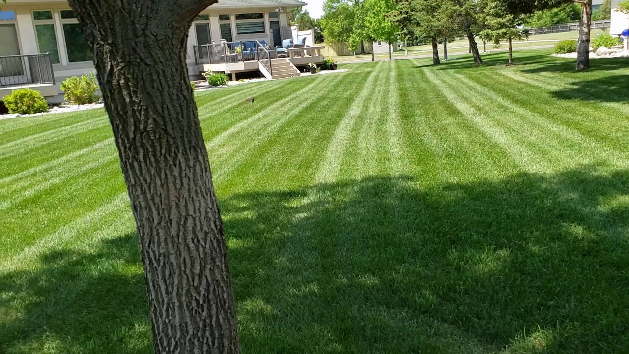 Bluemont Lakes HOA (Pretty green lawn) (Walker Mower) YouTube
