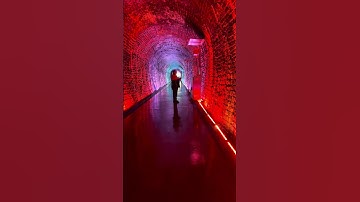 Road Trip Day 2 - Brockville Railway tunnel with @supermankev2001. (Video 3) # shorts