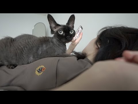 <strong>이번주도</strong> 정신없이 브이로그!