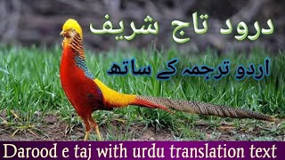 darood e taj with urdu translation screenshot 5