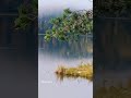 #resetwnaturze#nature #forest#lake #slowlfie#nadjeziorem#wlesie