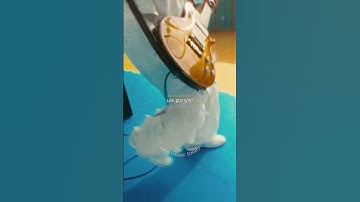 Thumbnail of 🎧 Havin' a Good Time - KARDI (카디)