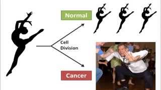 3 Minute Thesis Dance Of The Dna