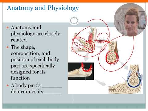 Intro to A and P Intro Video