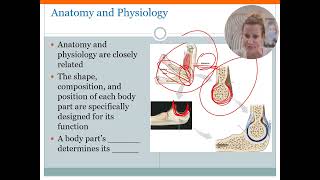 Intro to A and P Intro Video