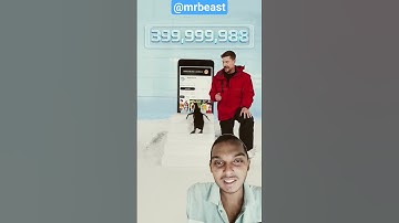 Can I Teach a Penguin To Subscribe? 😀 @mrbeast #mrbeast #shortvideo #shorts