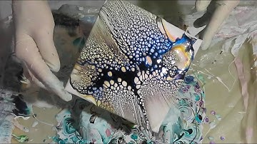 75. Sheleeart - ColourArte Firefly Colour Test - Check the colour shift in these babies!