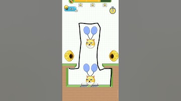 save the dog level 237