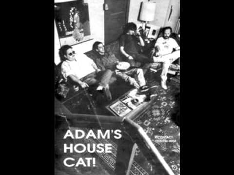 "Runaway Train"- Adam's House Cat