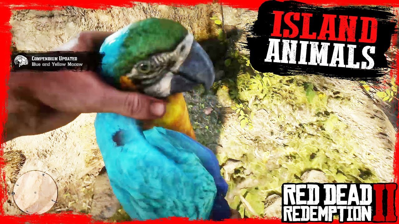 Rdr2 Hunting And Skinning Island Guarma Animals Gameplay Youtube
