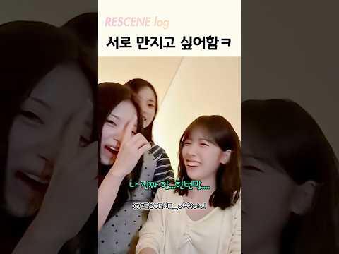 센둥이들 슬라임에 스며듦ㅋㅋ thumbnail