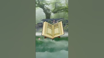 حالات واتساب قران كريم بصوت القارئ نعمه الحسان