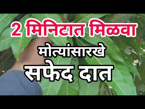 फक्त 2 सर्वांत पिवळे दातांना मोत्यांसारखे चमकेल हा उपाय | दात पांढरे होतात