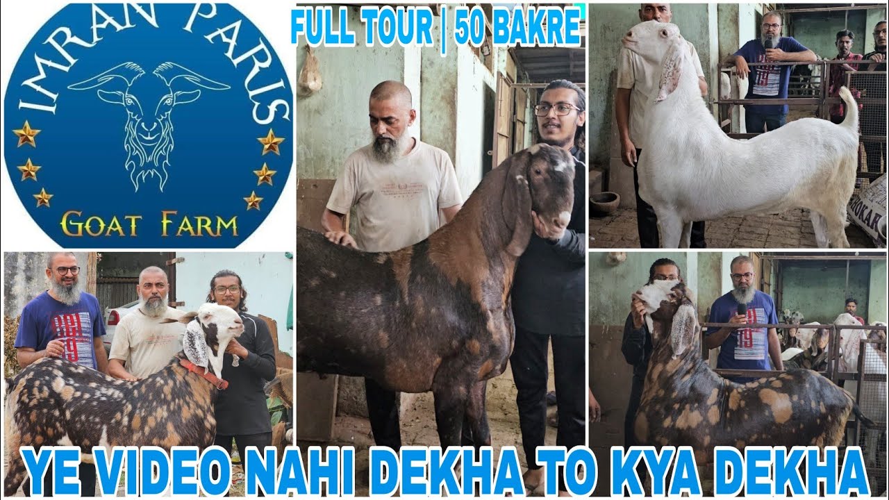 TOP 50 GOAT |IMRAN BHAI PARIS GOAT FARM FULL TOUR | 150 KG + BAKRE SAB ...