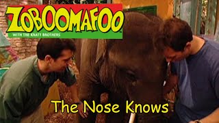 Zoboomafoo The Nose Knows Funding & Opening Original 1999 Airing