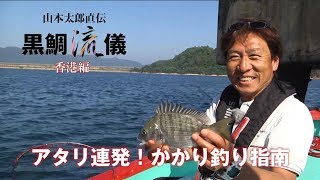 黒鯛流儀 かかり釣り 香港編［アタリ連発！ かかり釣り指南］