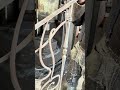 Куем лестницу в стиле Модерн
