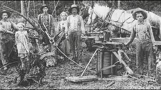 The Forgotten Machine That Pulled Out 1,000 Stumps a Day and Cleared Out America's Forests