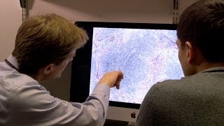 Unexpected Link Found Between Immune Cells, Weight Control, Disease Resistance