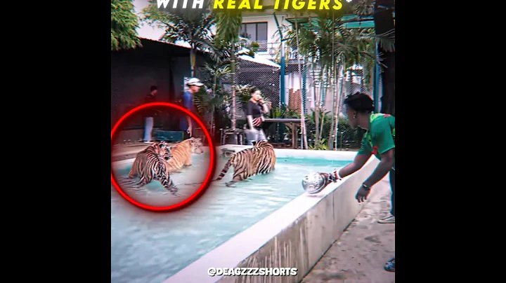 iShowSpeed did NOT saw that coming 🚡🚡 #ishowspeed #tiger #edit