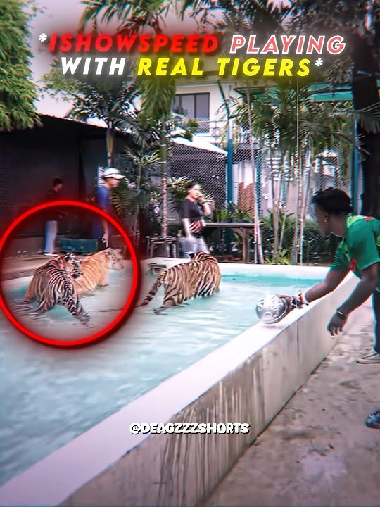 iShowSpeed did NOT saw that coming 🚡🚡 #ishowspeed #tiger #edit