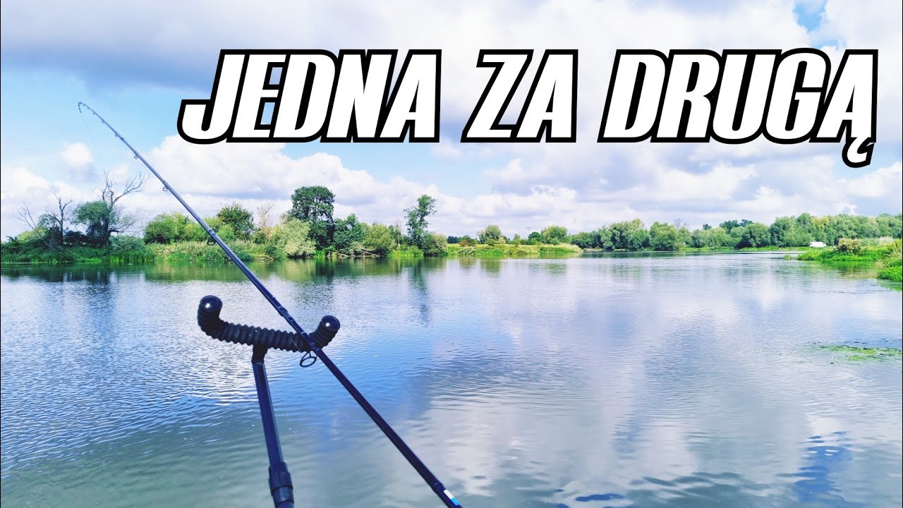 428 ZROZUMIEĆ RZEKĘ - ODRA POWYŻEJ WROCŁAWIA