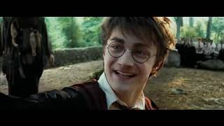 Meet Buckbeak | Harry Potter and the Prisoner of the Azkaban