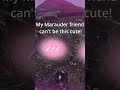 A silly Marauder video