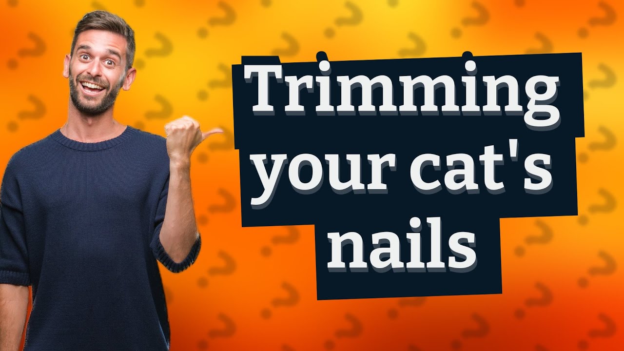 How do I know if my cat needs his nails cut? YouTube