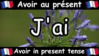 AVOIR (To Have) Conjugation Song - Present Tense - French Conjugation - Le Verbe AVOIR