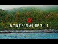 Macquarie island australia part 2 4k