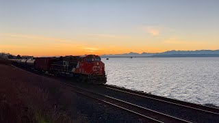 CN Oil Train at Sunset, Ferromex, UP SD70ACe & Amtrak! | Washington Railfanning 2026