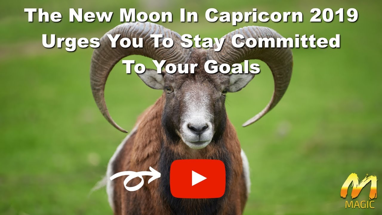 The New Moon In Capricorn 2019 Urges You To Stay Committed To Your ...