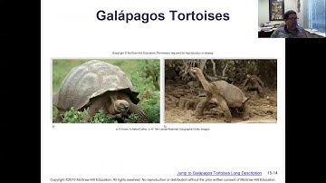 Mader Chapter 15 Zoom Lecture