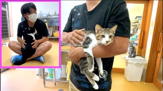 いきつけの動物病院にいる可愛い猫達【大切なお知らせあり】