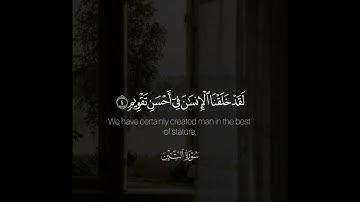 ﴿لَقَد خَلَقنَا الإِنسانَ في أَحسَنِ تَقويمٍ﴾ | القارئ: راشد الحليبة