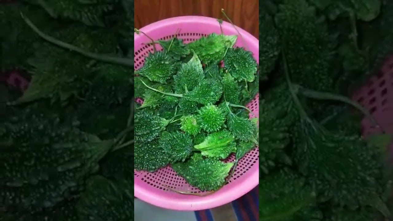 very good vegetable for diabetes person. YouTube