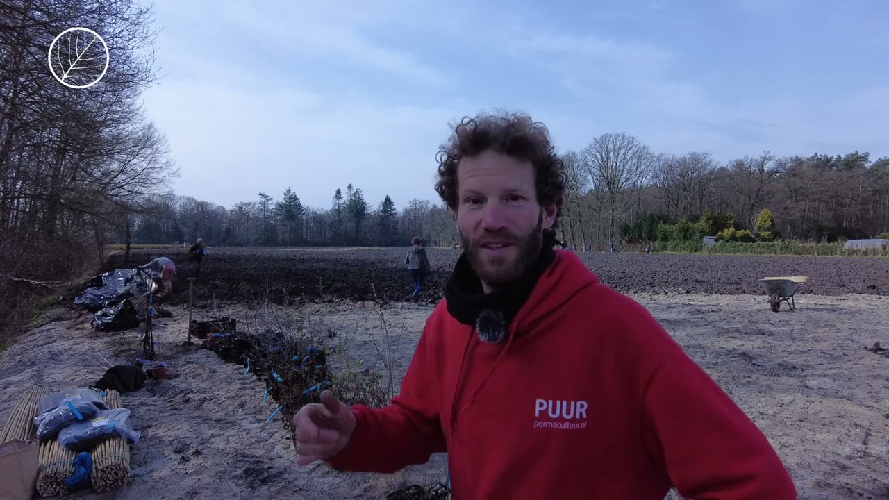 Voedselbos tips bij de voorbereidingen voor het aanplanten van je project