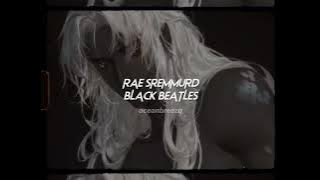 rae sremmurd-black beatles (sped up reverb)